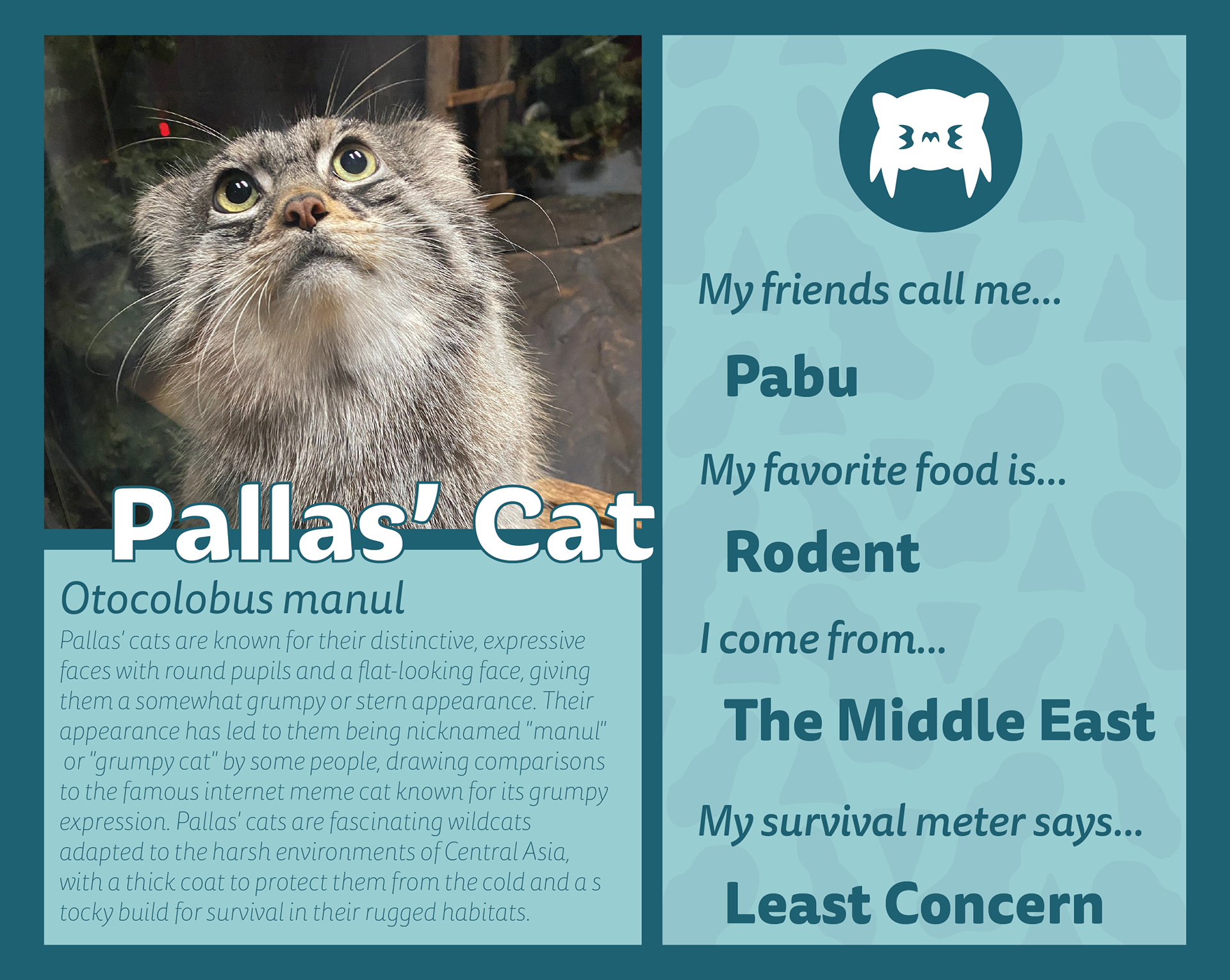 Pabu Flat